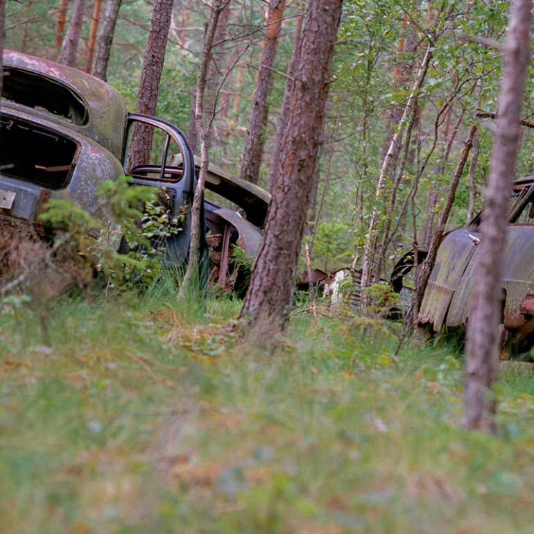 Kyrkö Mosse