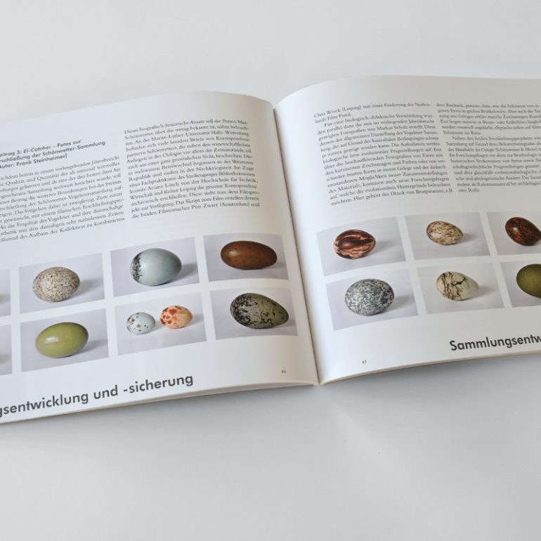 Max-Schönwetter-Sammlung