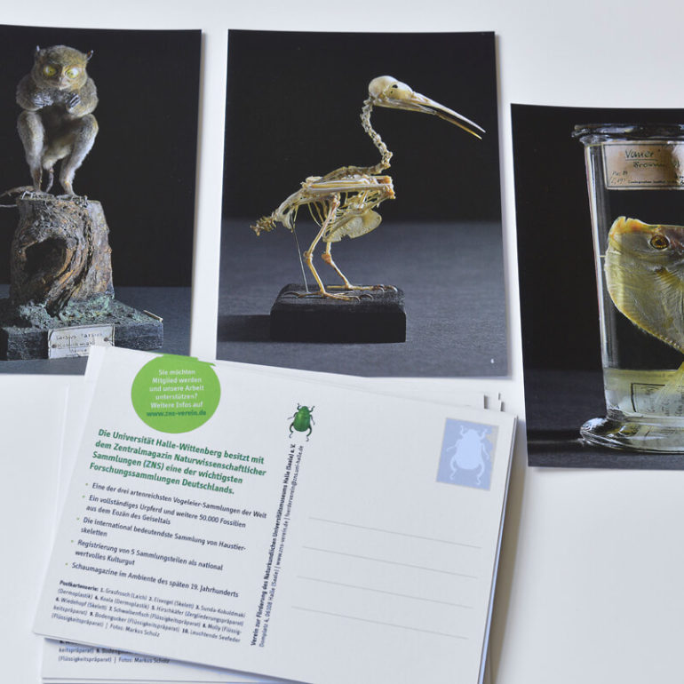 Zentralmagazin Naturwissenschaftlicher Sammlungen