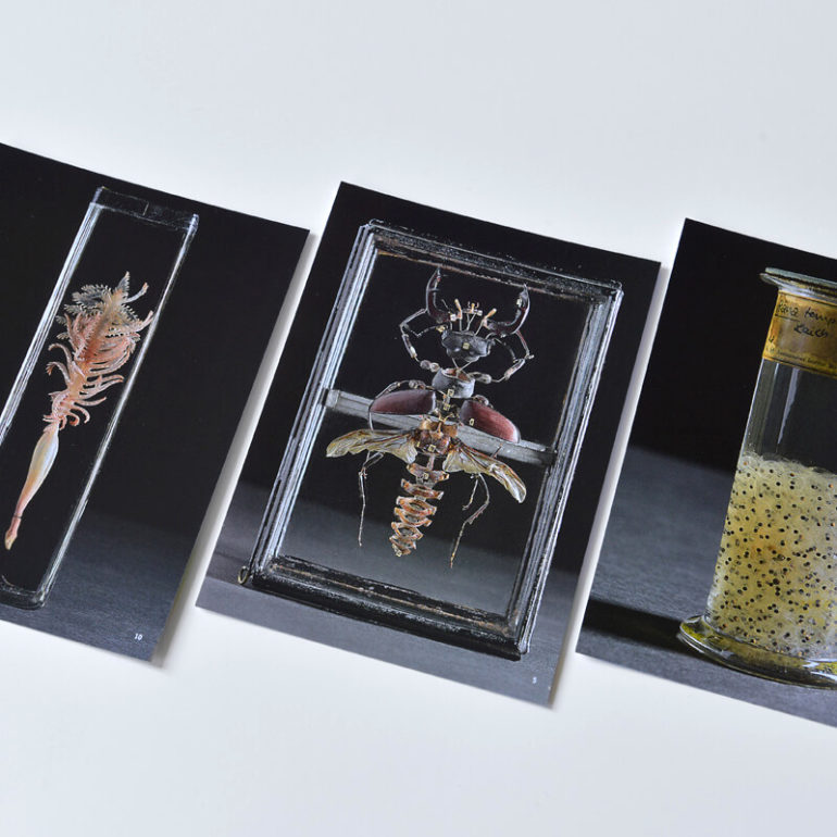 Zentralmagazin Naturwissenschaftlicher Sammlungen