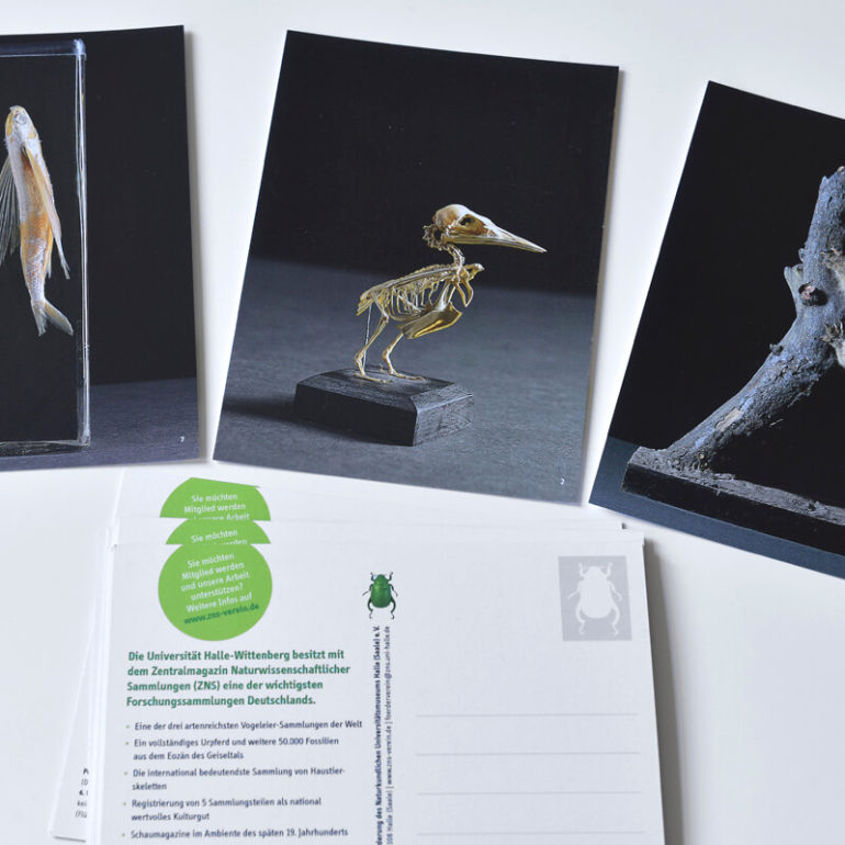 Zentralmagazin Naturwissenschaftlicher Sammlungen