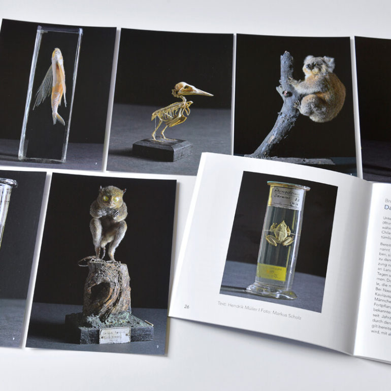 Zentralmagazin Naturwissenschaftlicher Sammlungen